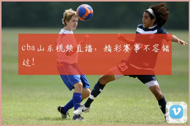 cba山东视频直播,精彩赛事不容错过!