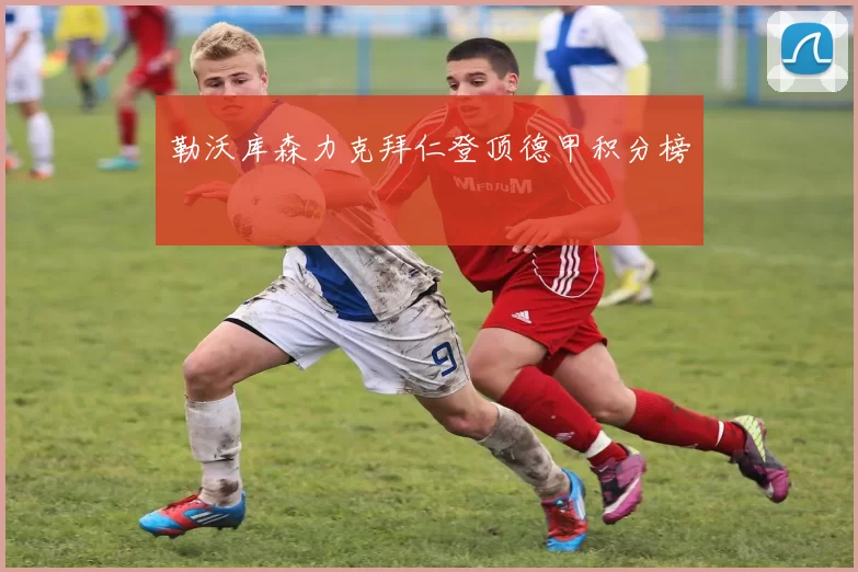 勒沃库森力克拜仁登顶德甲积分榜